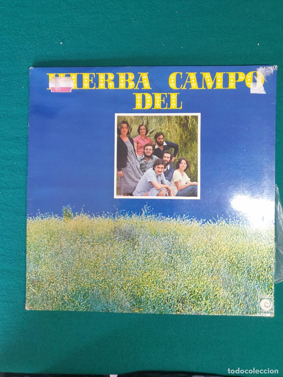 Discos de vinilo: Hierba Del Campo &ndash; Hierba Del Campo - Foto 1