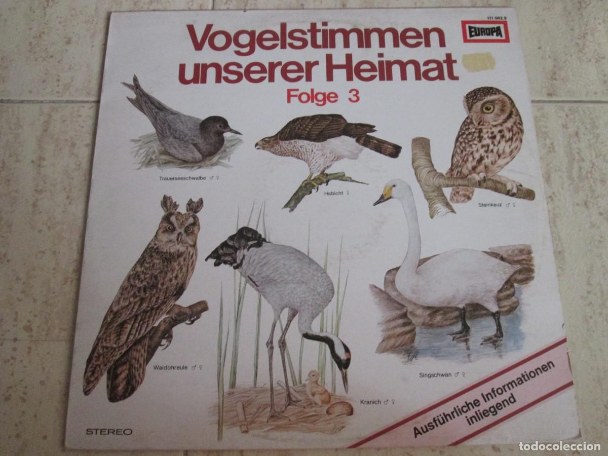 Disques de vinyle: BERND EGGERT - Vogelstimmen Unserer Heimat F3. LP, Ed Alemana 12&rdquo; 1978. Insert.Muy Buen estado (VG+)
