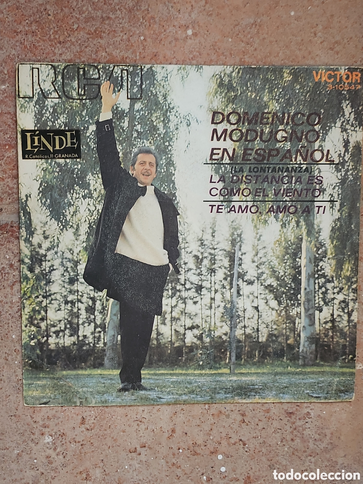 Discos de vinilo: Domenico Modugno la lontananza - Foto 1