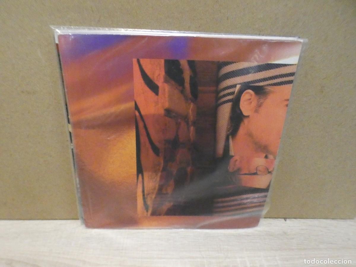 Dischi in vinile: lott225 LP MUY CORRECTO ESTADO GENERAL LAURIE AND OLLY AMPLE PROFANITY 2018