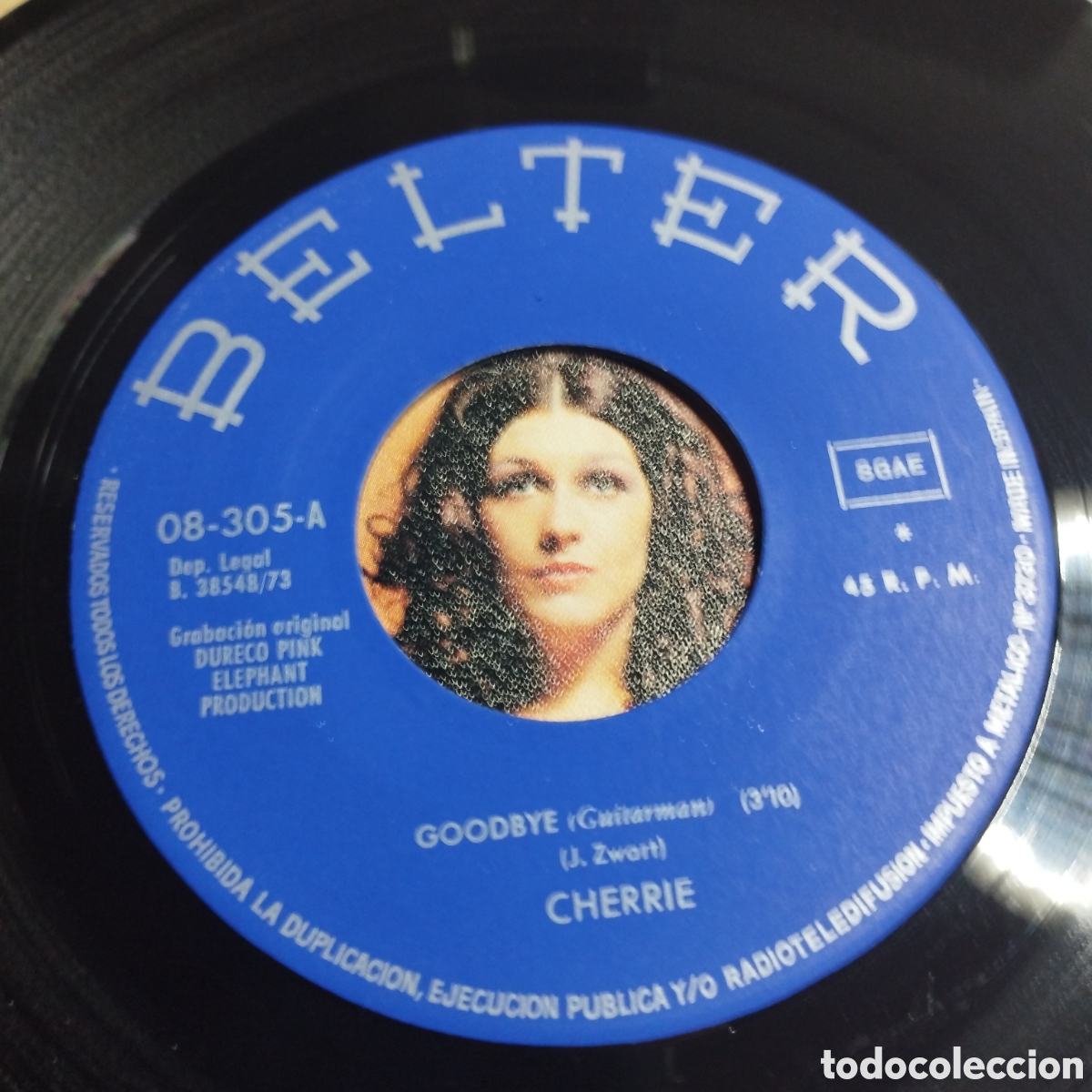 Discos de vinilo: Single 7&rdquo; Cherrie 1973 Goodbye + A day Will Come. - Foto 3