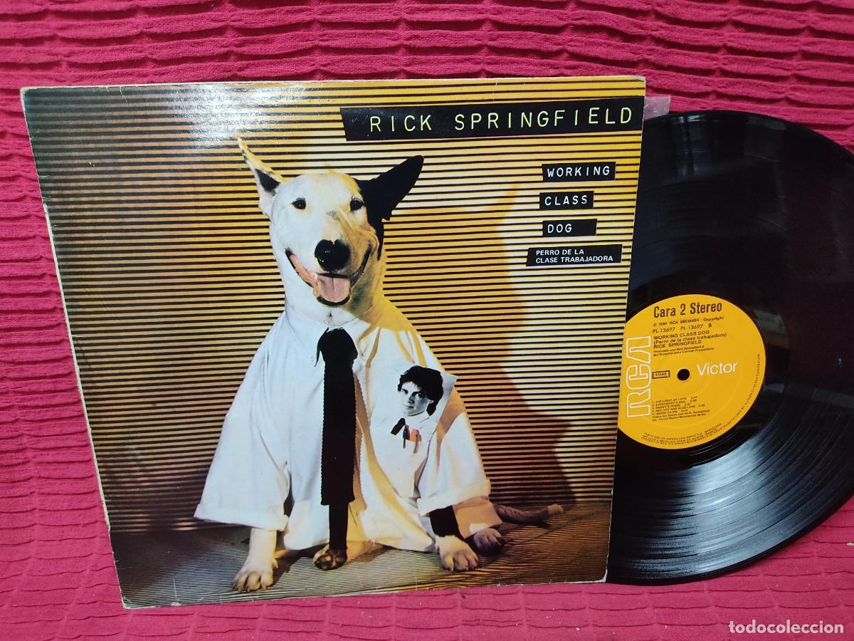 Discos de vinilo: RICK SPRINGFIELD (LP) WORKING CLASS DOG A&Ntilde;O 1981 - Foto 1