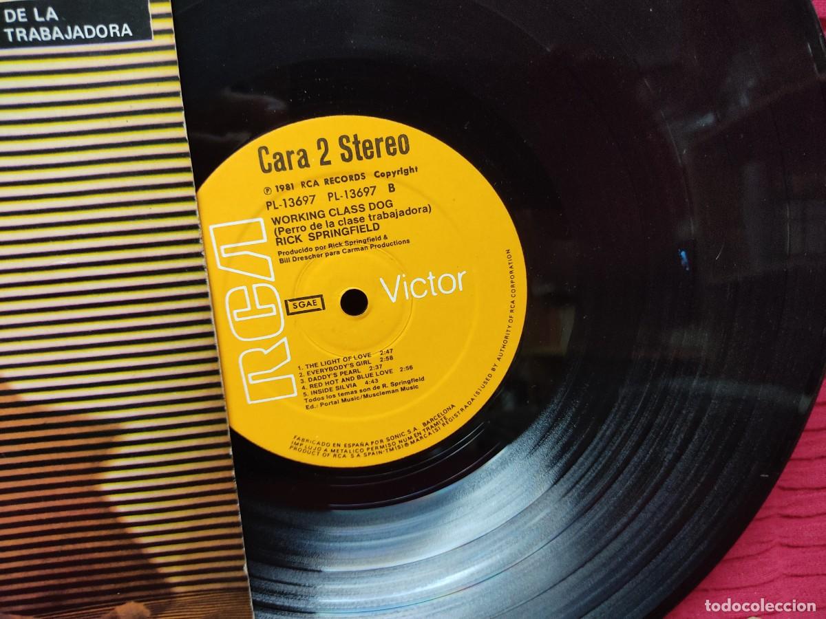 Discos de vinilo: RICK SPRINGFIELD (LP) WORKING CLASS DOG A&Ntilde;O 1981 - Foto 2