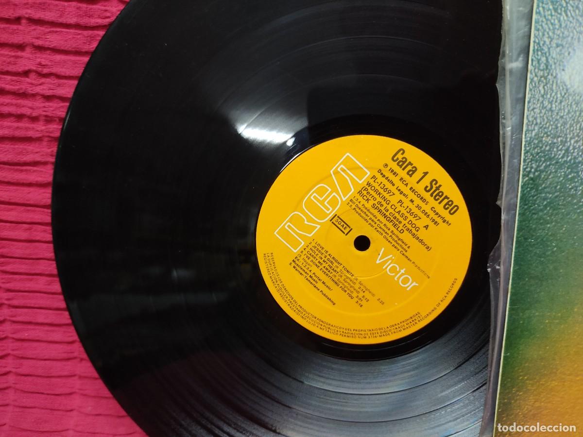 Discos de vinilo: RICK SPRINGFIELD (LP) WORKING CLASS DOG A&Ntilde;O 1981 - Foto 4