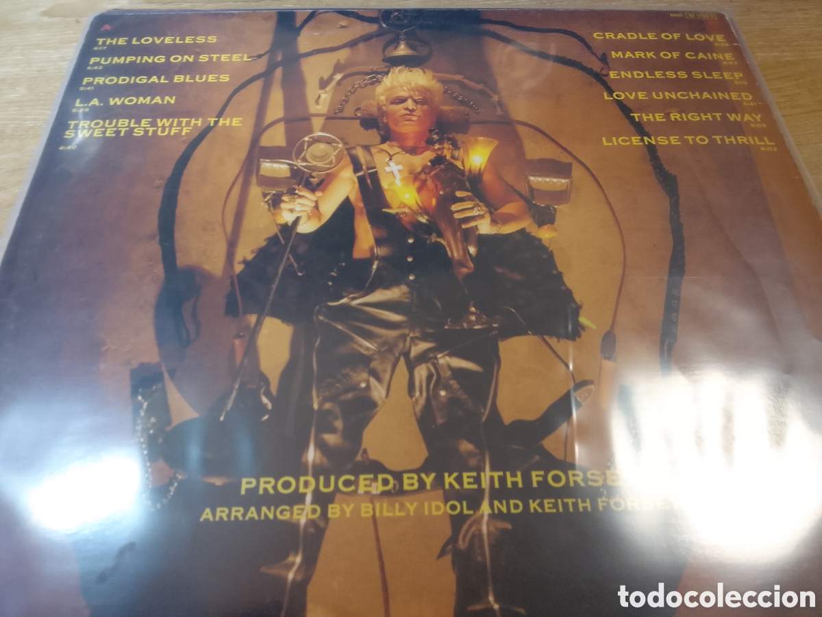 Discos de vinilo: BILLY IDOL CHARMED LIFE - Foto 2
