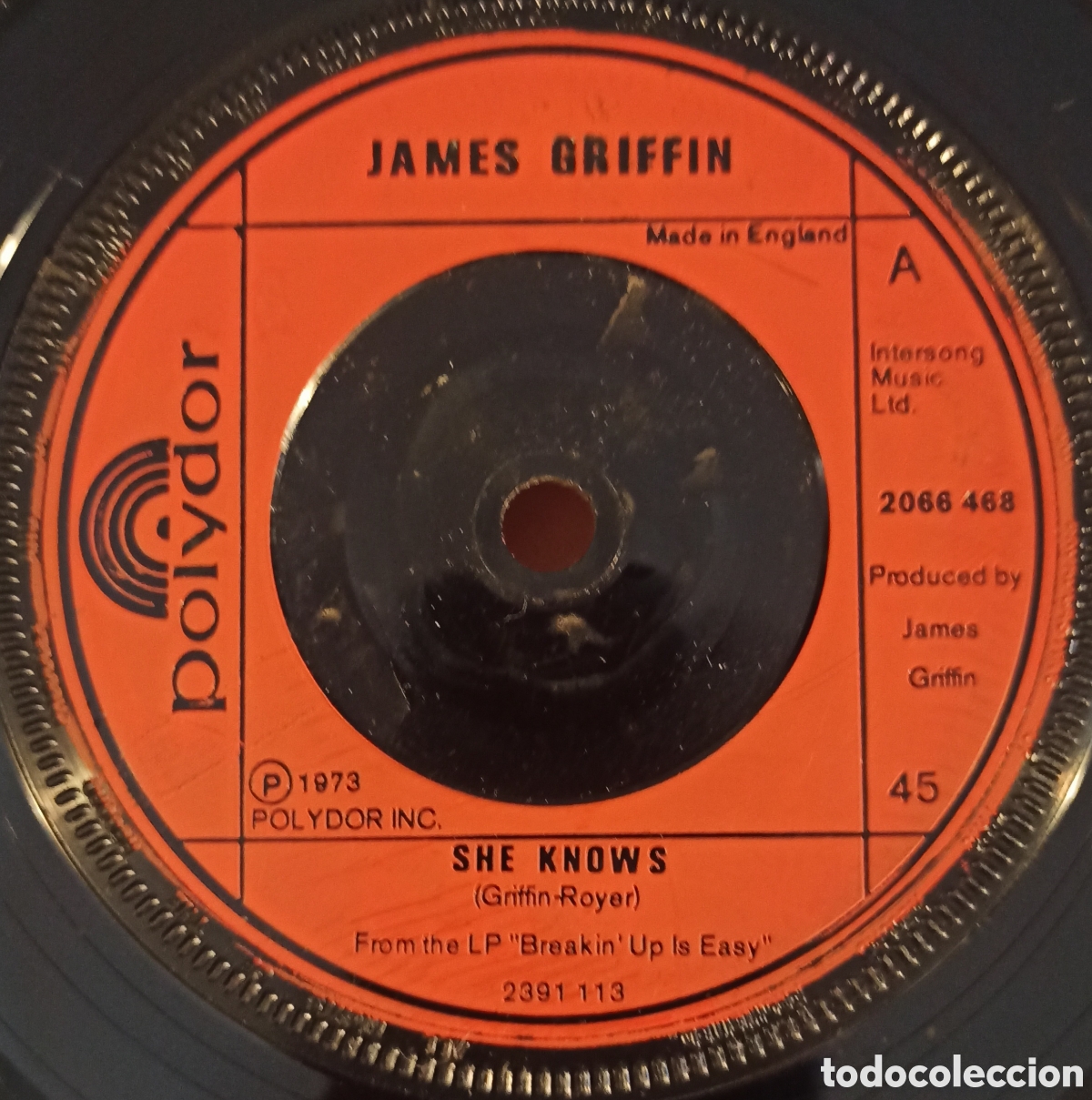 Discos de vinilo: James Griffin &ndash; She Knows - Foto 1