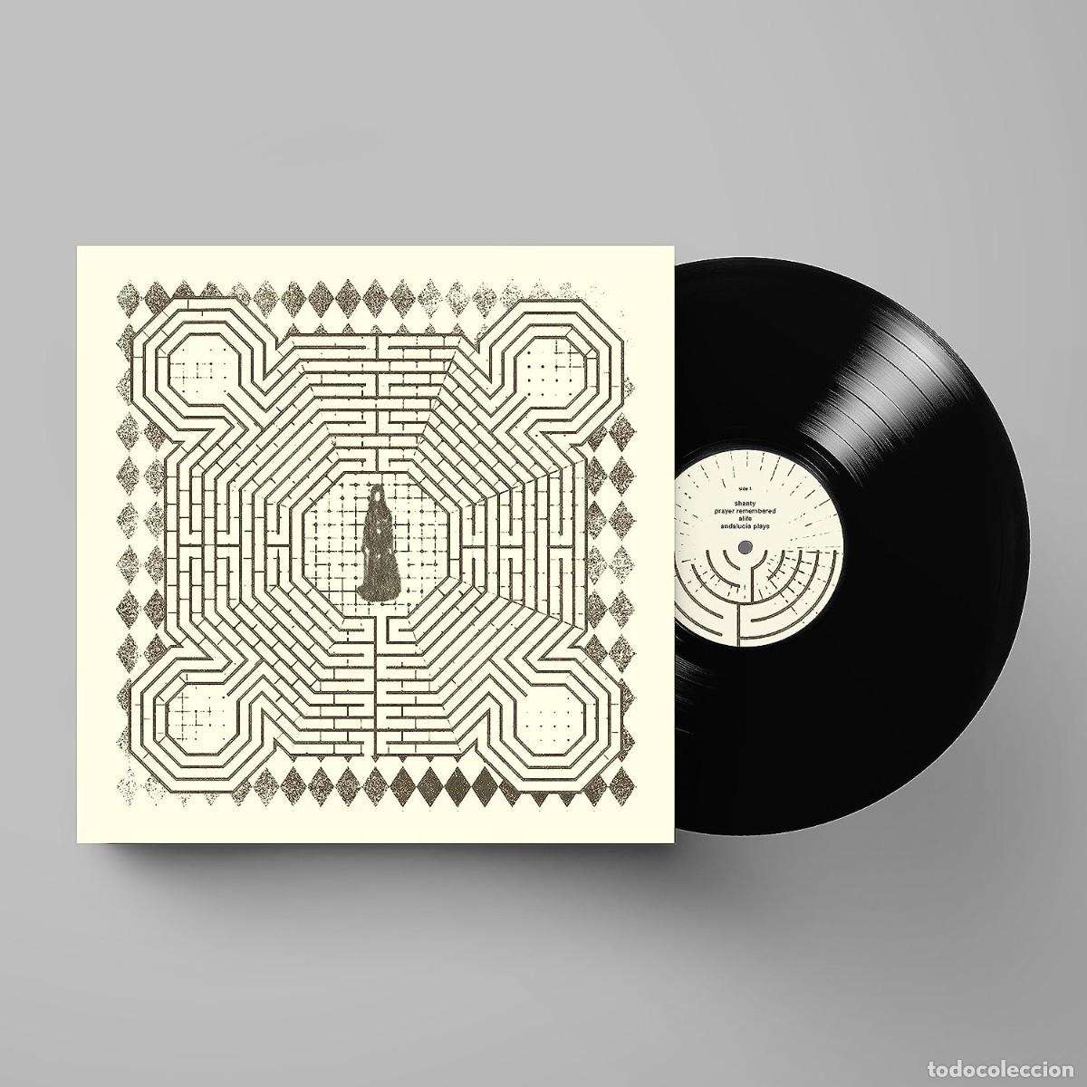 Discos de vinilo: LP SLOWDIVE EVERYTHING IS ALIVE VINILO SHOEGAZER - Foto 1