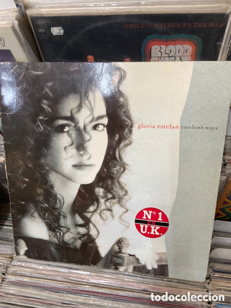 Discos de vinilo: Gloria estefan cuts boths ways - Foto 1