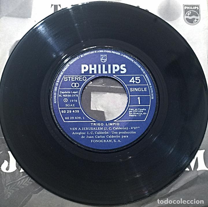 Discos de vinilo: SINGLE TRIGO LIMPIO - VEN A JERUSALEM - MI CASA - PHILIPS 1978 - Foto 4