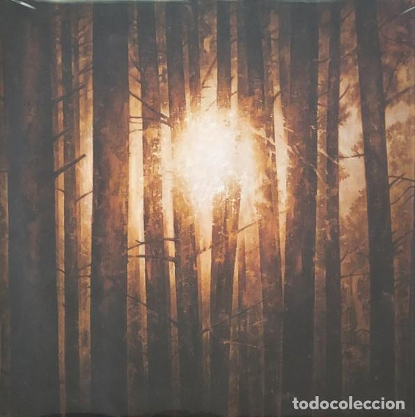 Discos de vinilo: In Mourning - Echoes - Foto 1
