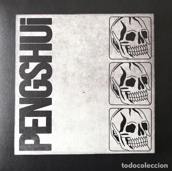 Discos de vinilo: PENGSHUi - PENGSHUi - Foto 1