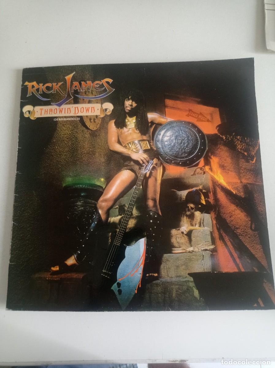Discos de vinilo: Antiguo LP de Rick James - Foto 1