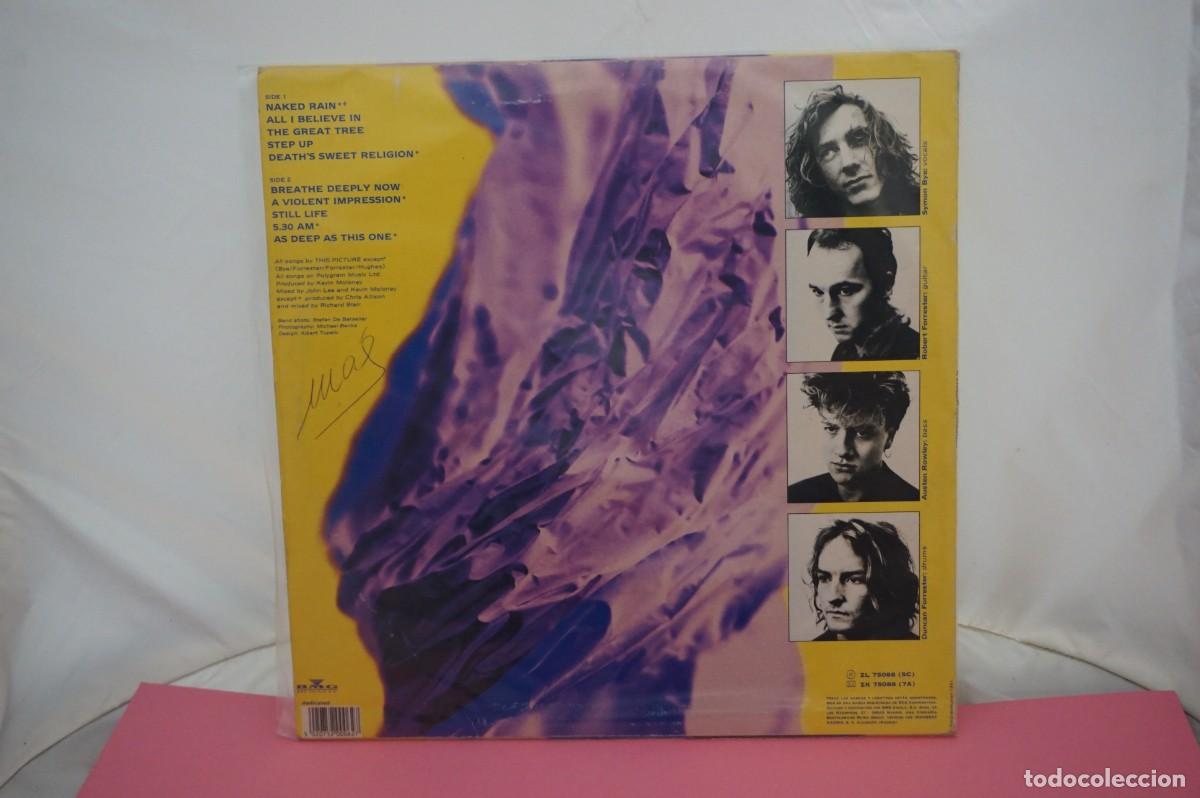 Discos de vinilo: LP - THIS PICTURE - A VIOLENT IMPRESSION - Foto 3