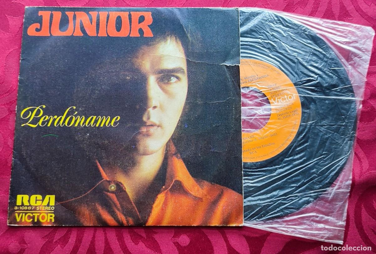 Discos de vinilo: Junior / Perdoname / The Snake / RCA - Foto 1