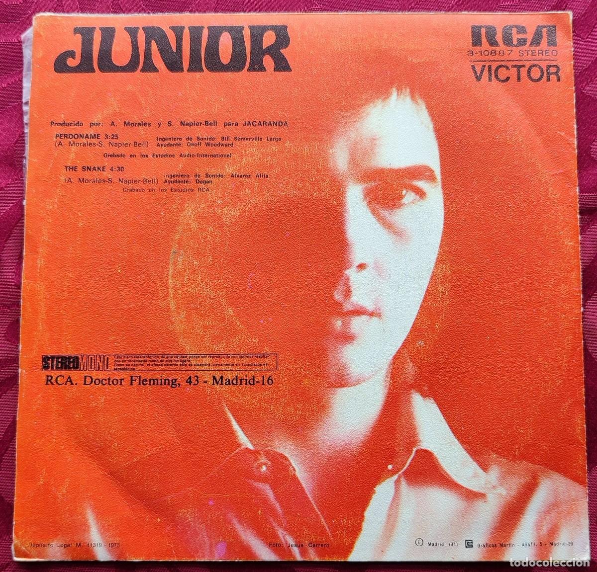 Discos de vinilo: Junior / Perdoname / The Snake / RCA - Foto 2