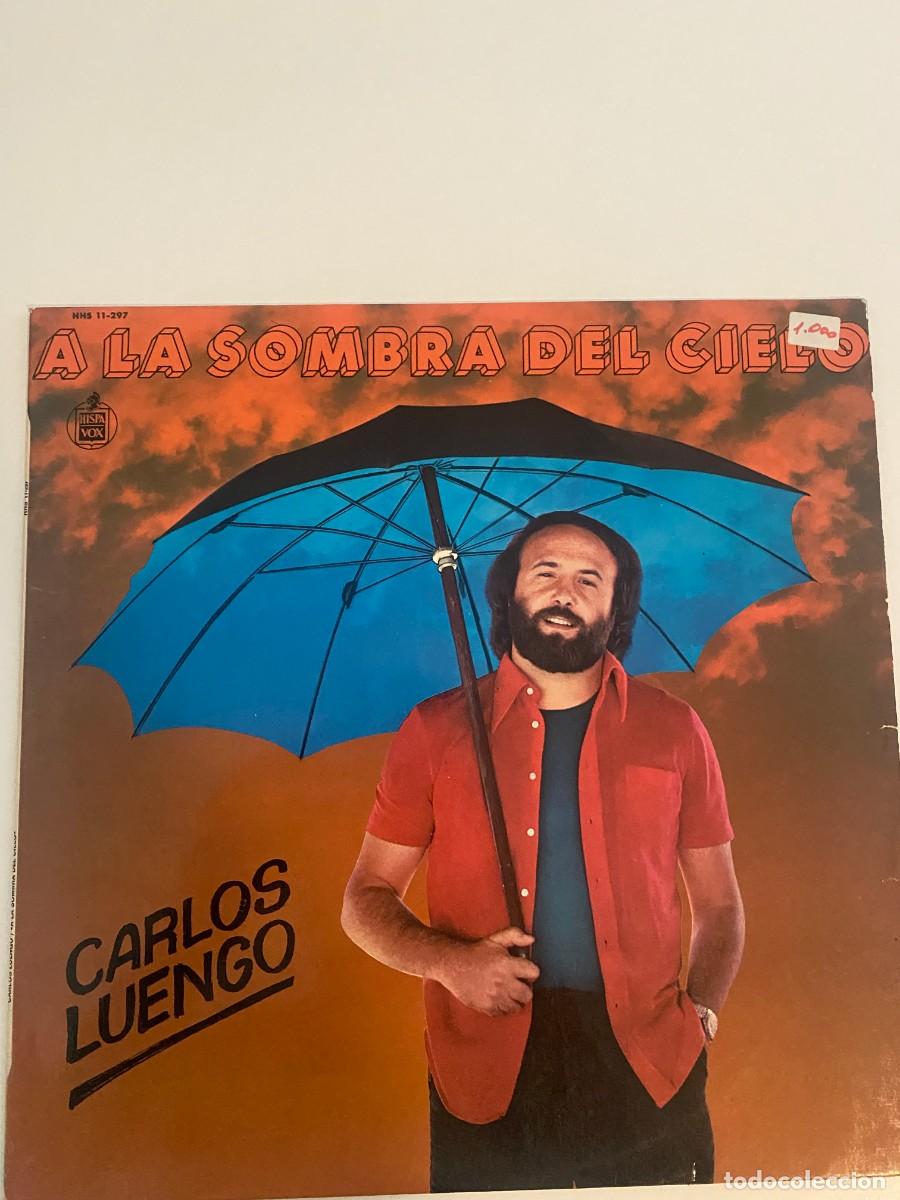 Discos de vinilo: CARLOS LUENGO A LA SOMBRA DEL CIELO LP - Foto 1