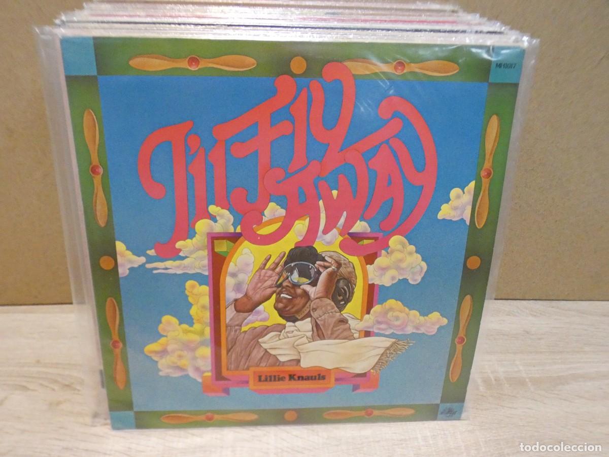Dischi in vinile: ARKANSAS1980 LOTT228 LP MUSICA NEGRA IMPORTADO USA, ESTADO DECENTE LP LILLIE KNAULS