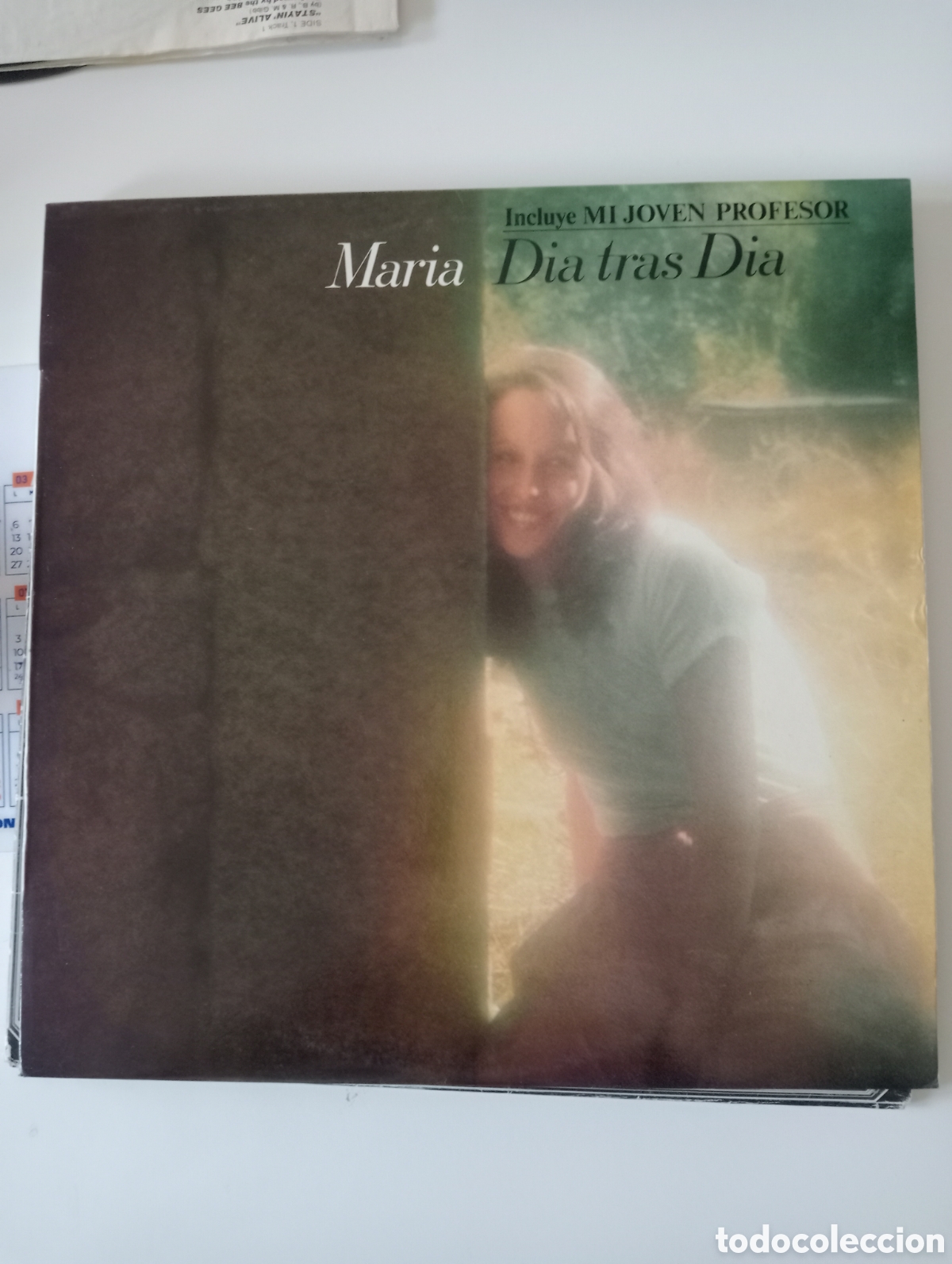Discos de vinilo: Maria - Dia Tras Dia 1978 insert lp - Foto 1