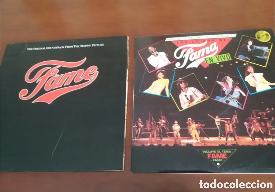 Discos de vinilo: Lote 2 discos FAME - Foto 1