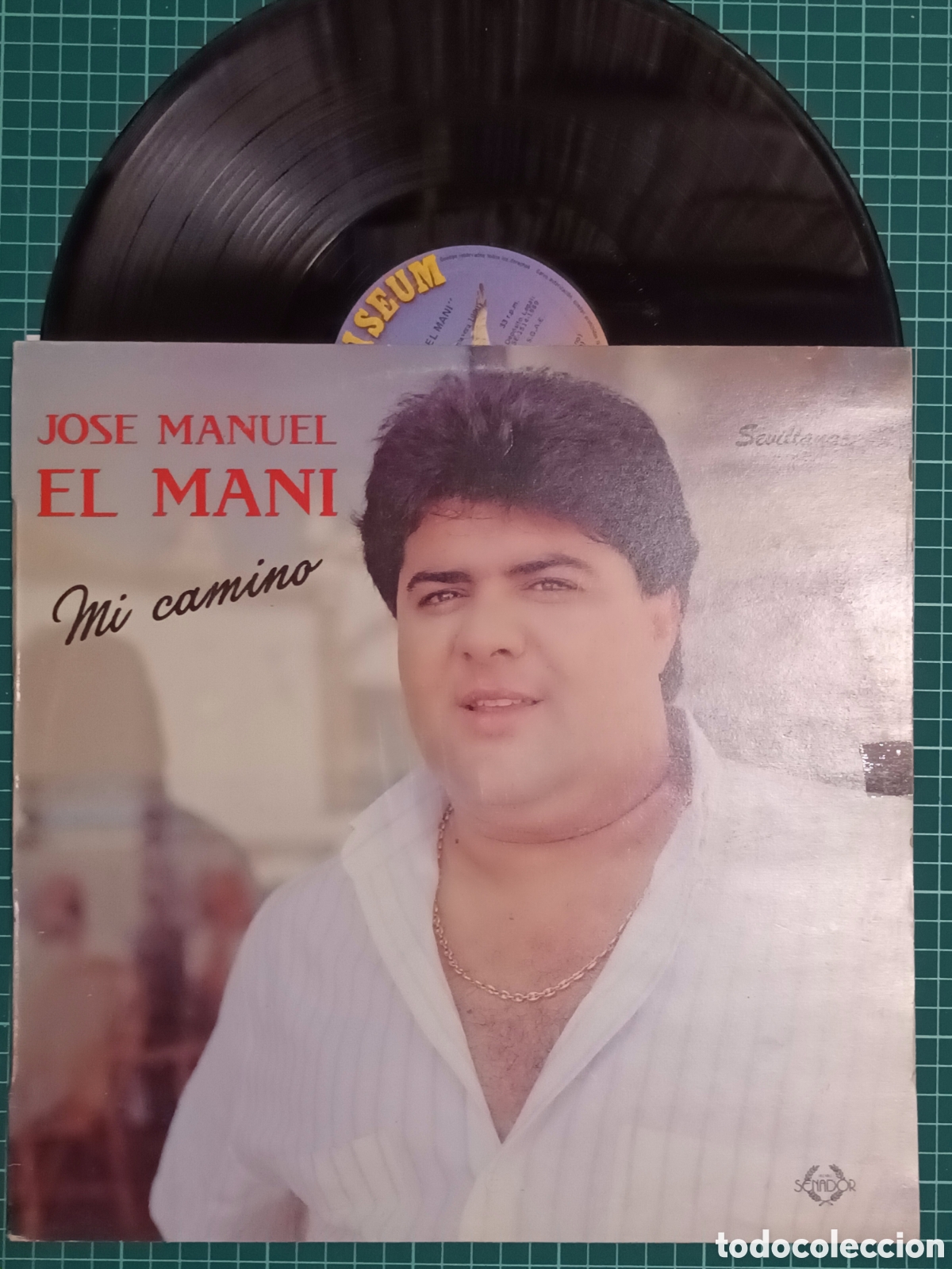 Discos de vinilo: El mani - Foto 1