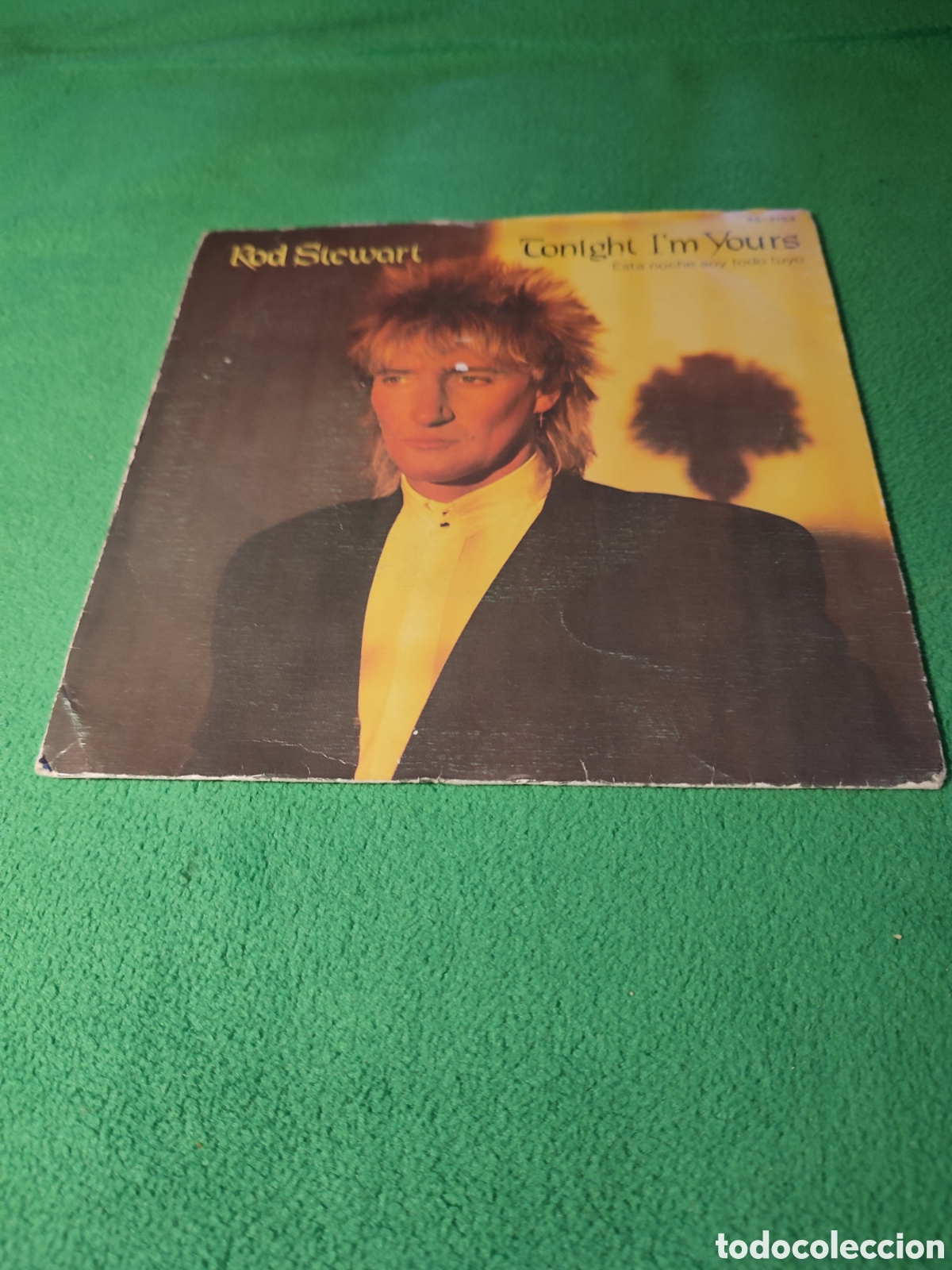 Discos de vinilo: Rod Stewart - Tonight Im yours - Foto 1