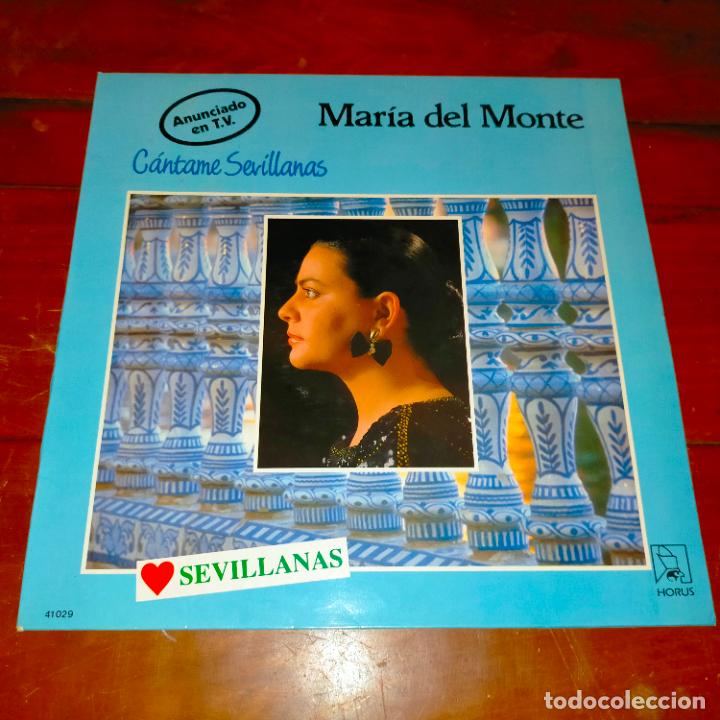 Discos de vinilo: DISCO VINILO GRANDE - MARIA DEL MONTE - Foto 1