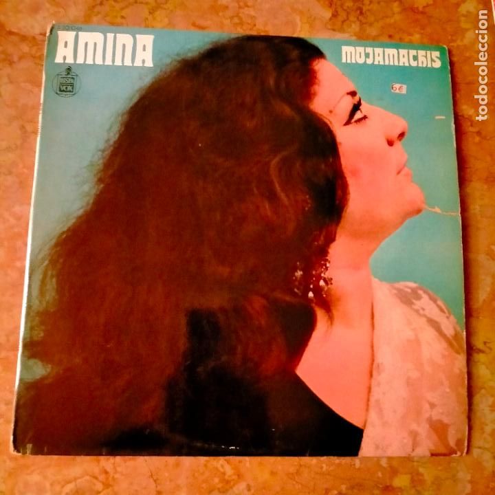 Discos de vinilo: DISCO VINILO GRANDE - amina - Foto 1