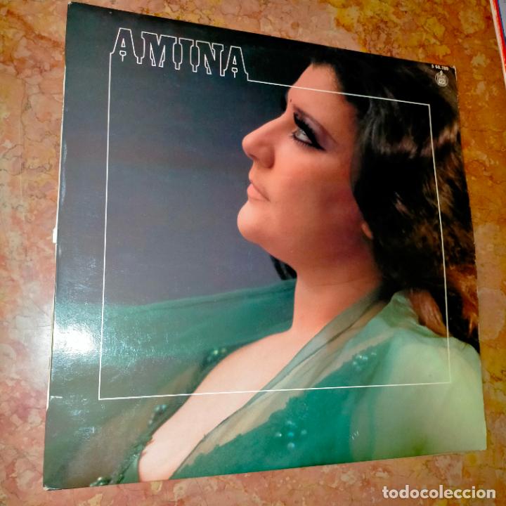 Discos de vinilo: DISCO VINILO GRANDE - amina - Foto 1