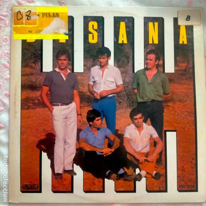 Discos de vinilo: DISCO VINILO GRANDE LP - BESANA - Foto 1