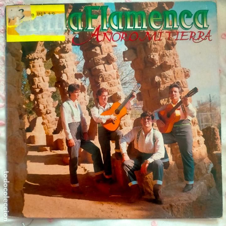 Discos de vinilo: DISCO VINILO GRANDE LP - ALMA FLAMENCA - Foto 1