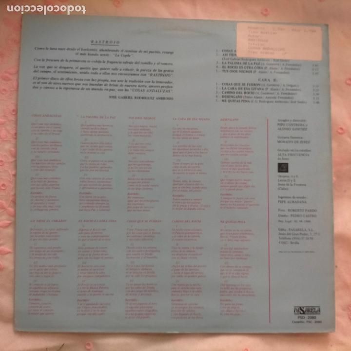 Discos de vinilo: DISCO VINILO GRANDE LP - rastrojo - Foto 2