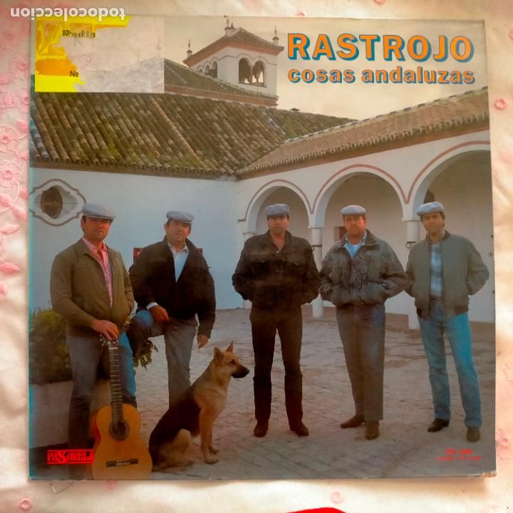 Discos de vinilo: DISCO VINILO GRANDE LP - rastrojo - Foto 1
