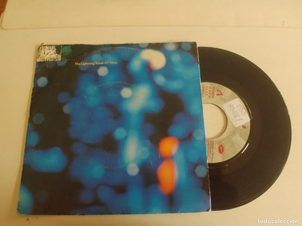 Discos de vinilo: THE LIGHTNING SEEDS-SINGLE ALL I WANT - Foto 1