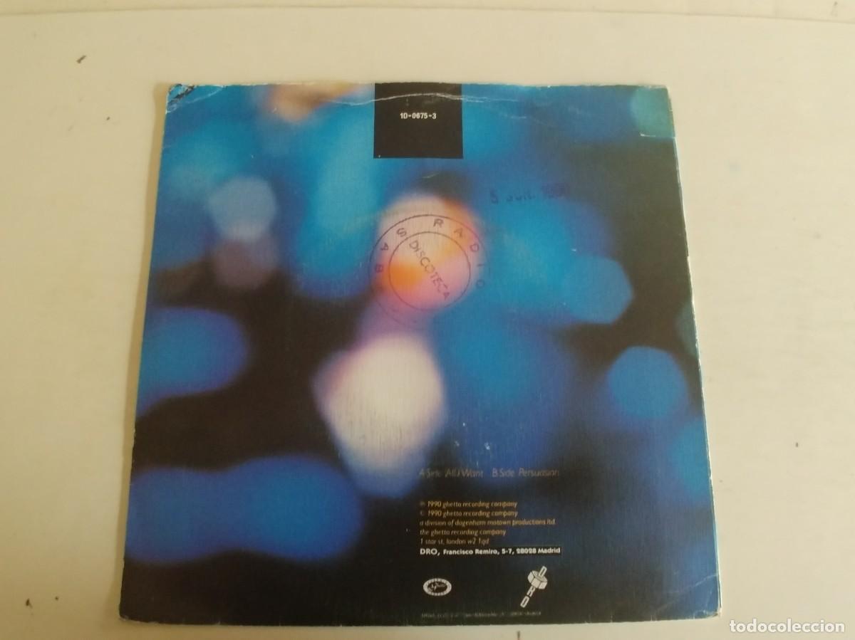 Discos de vinilo: THE LIGHTNING SEEDS-SINGLE ALL I WANT - Foto 2