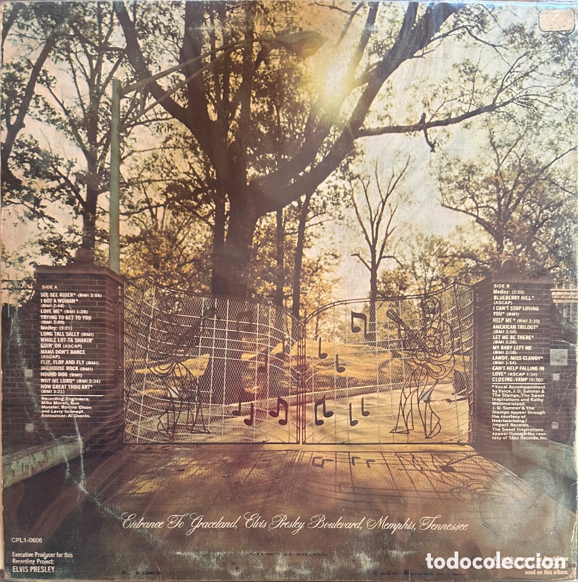 Discos de vinilo: Elvis Presley. Espa&ntilde;a, 1974 - Foto 2