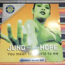Discos de vinilo: JUNG FEATURING HOPE – YOU MEAN THE WORLD TO ME