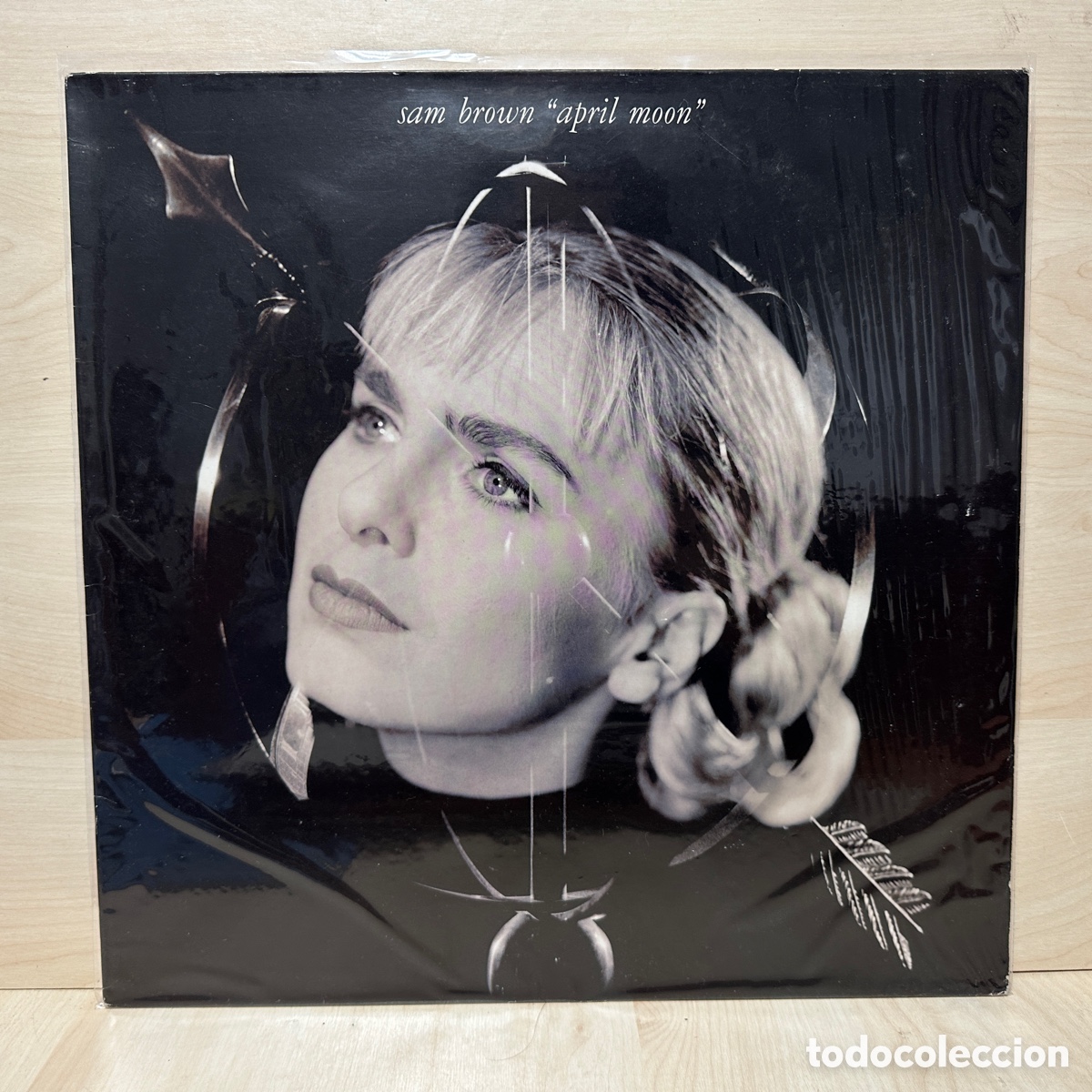 Discos de vinilo: Sam Brown - April Moon (LP, Album) - Foto 1