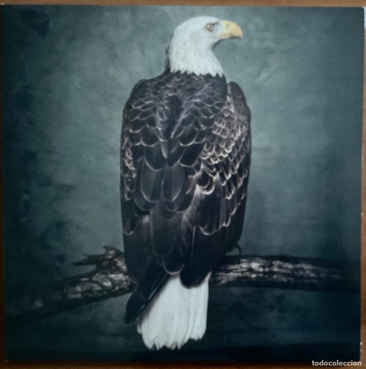 Discos de vinilo: CLUTCH - BOOK OF BAD DECISIONS - Foto 1