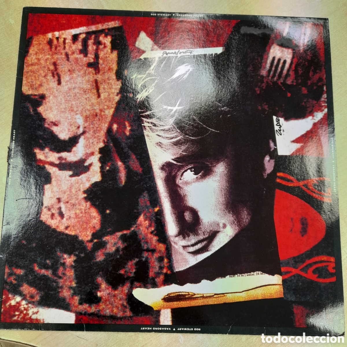 Discos de vinilo: Rod Steward. Vagabundo heart - Foto 1