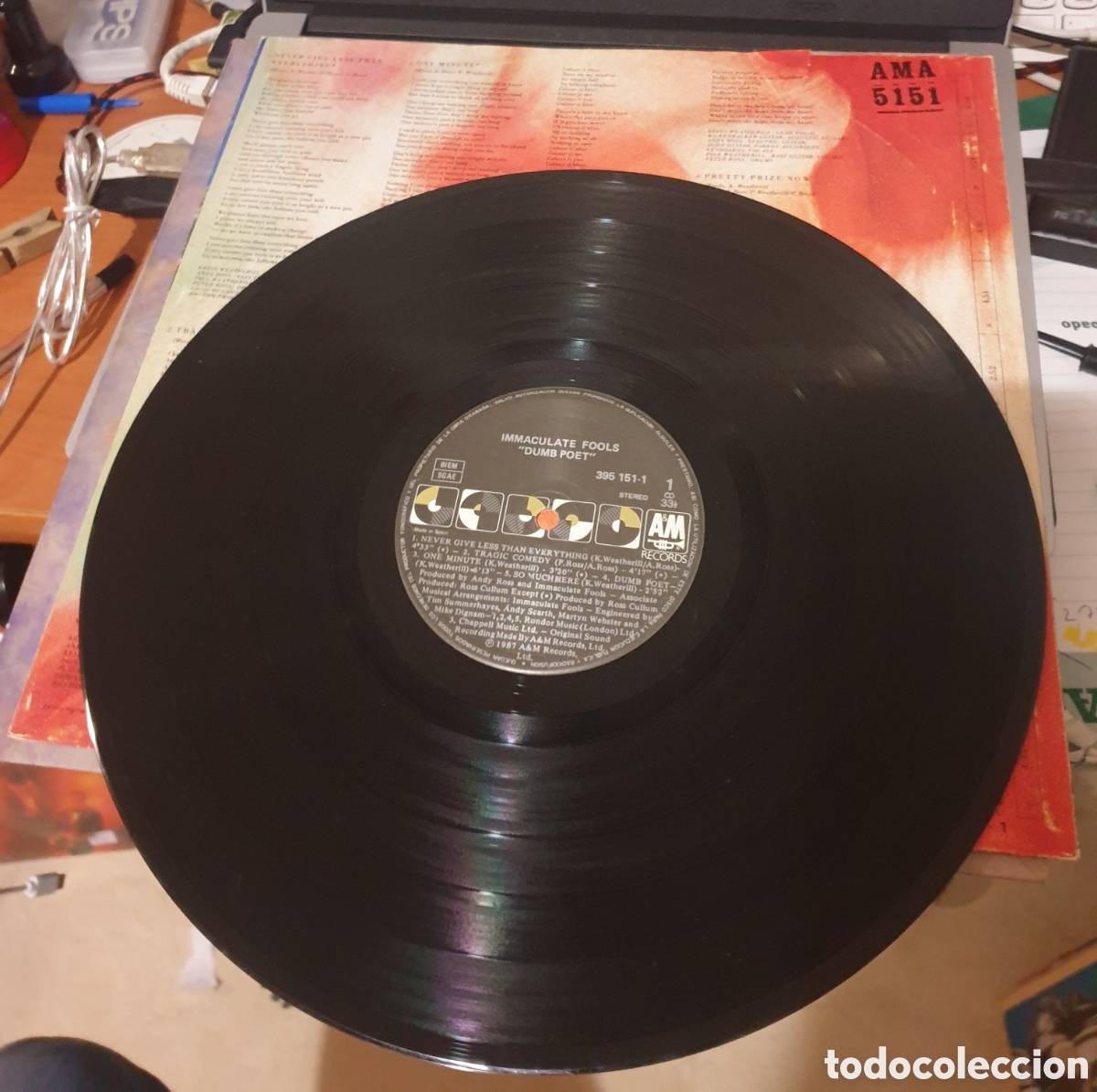 Discos de vinilo: Inmaculate fools - dumb poet - Foto 2