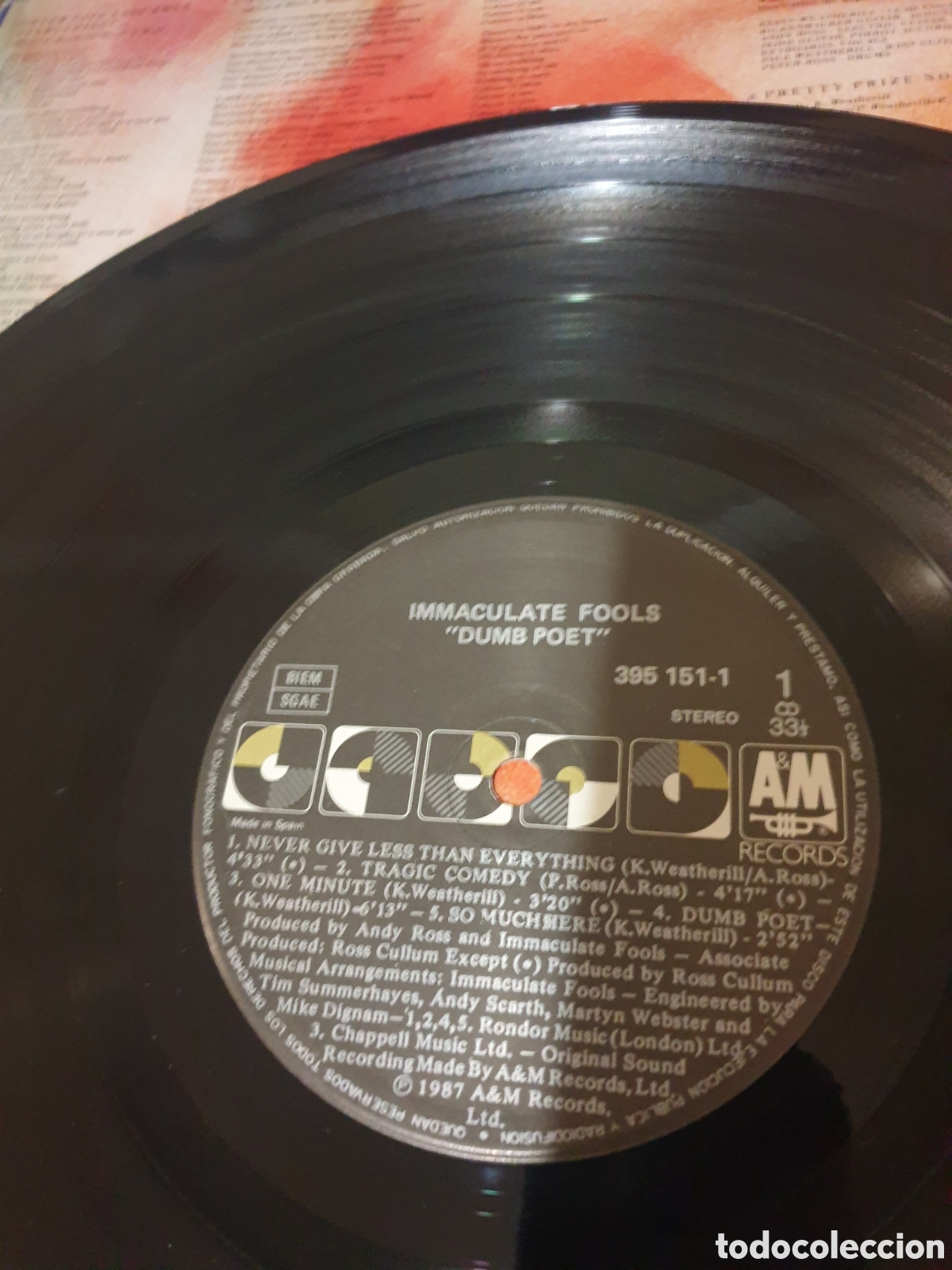 Discos de vinilo: Inmaculate fools - dumb poet - Foto 3