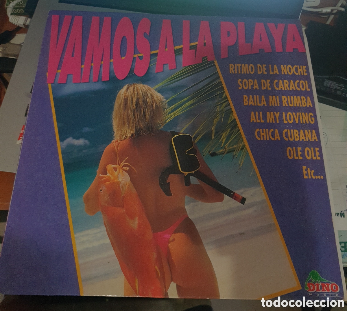 Discos de vinilo: Vamos a la playa. VV.AA - Foto 1
