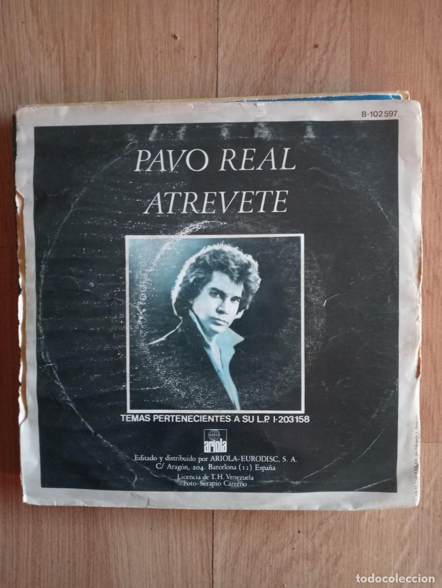 Discos de vinilo: Jos&eacute; Luis Rodr&iacute;guez - Pavo Real (7&rdquo;) 1981 - Foto 2