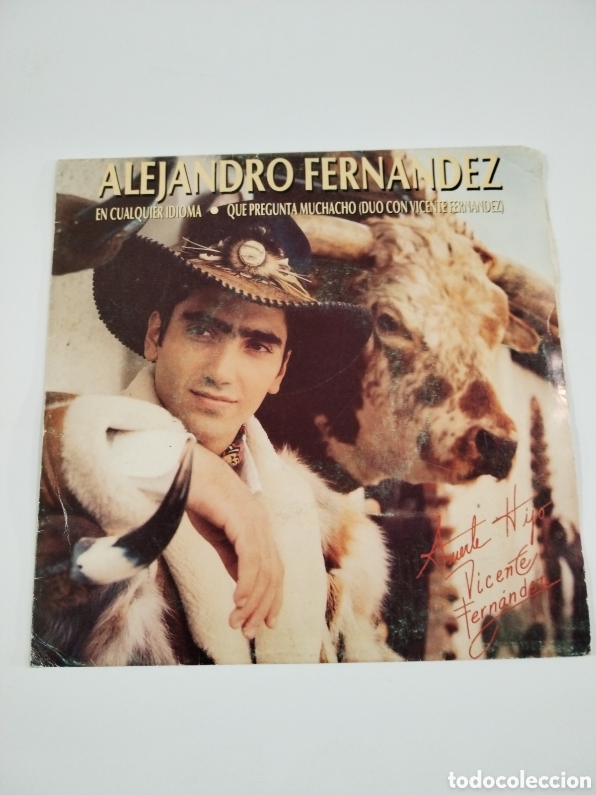 Discos de vinilo: ALEJANDRO FERNANDEZ / EN CUALQUIER IDIOMA - Foto 1