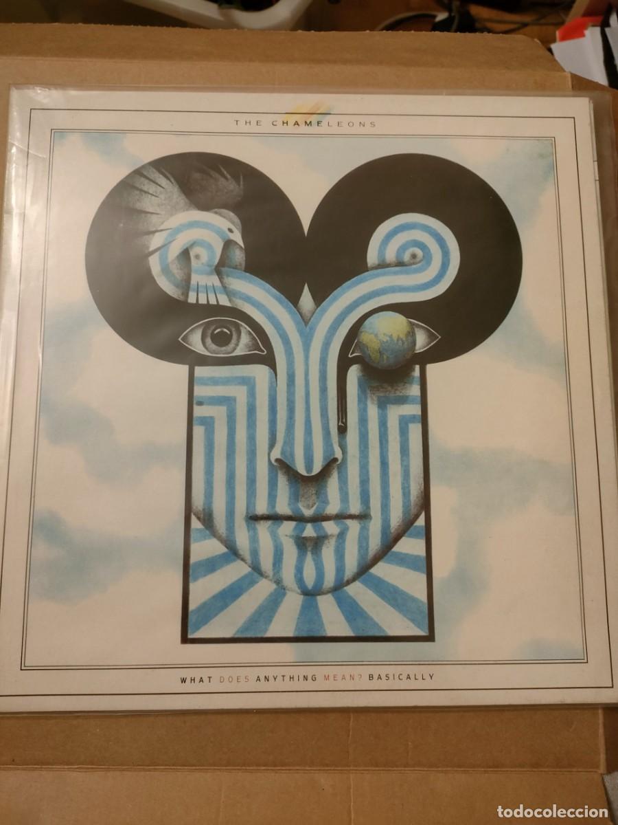 Discos de vinilo: THE CHAMELEONS - WHAT DOES ANYTHING MEAN? BASICALLY - Foto 1
