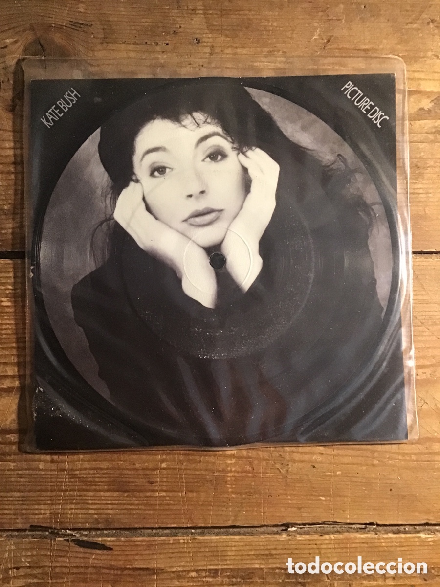 Discos de vinilo: Kate Bush This Woman&rsquo;s Work pic disk - Foto 1