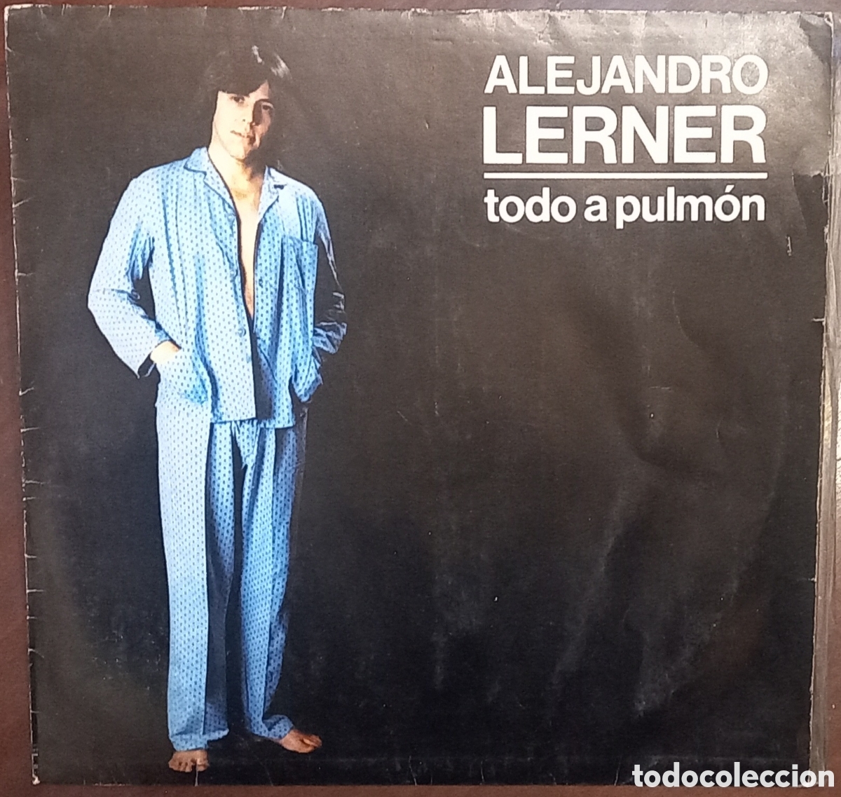 Discos de vinilo: Disco &rdquo;todo a pulm&oacute;n&rdquo; de Alejandro Lerner 1983 - Foto 1