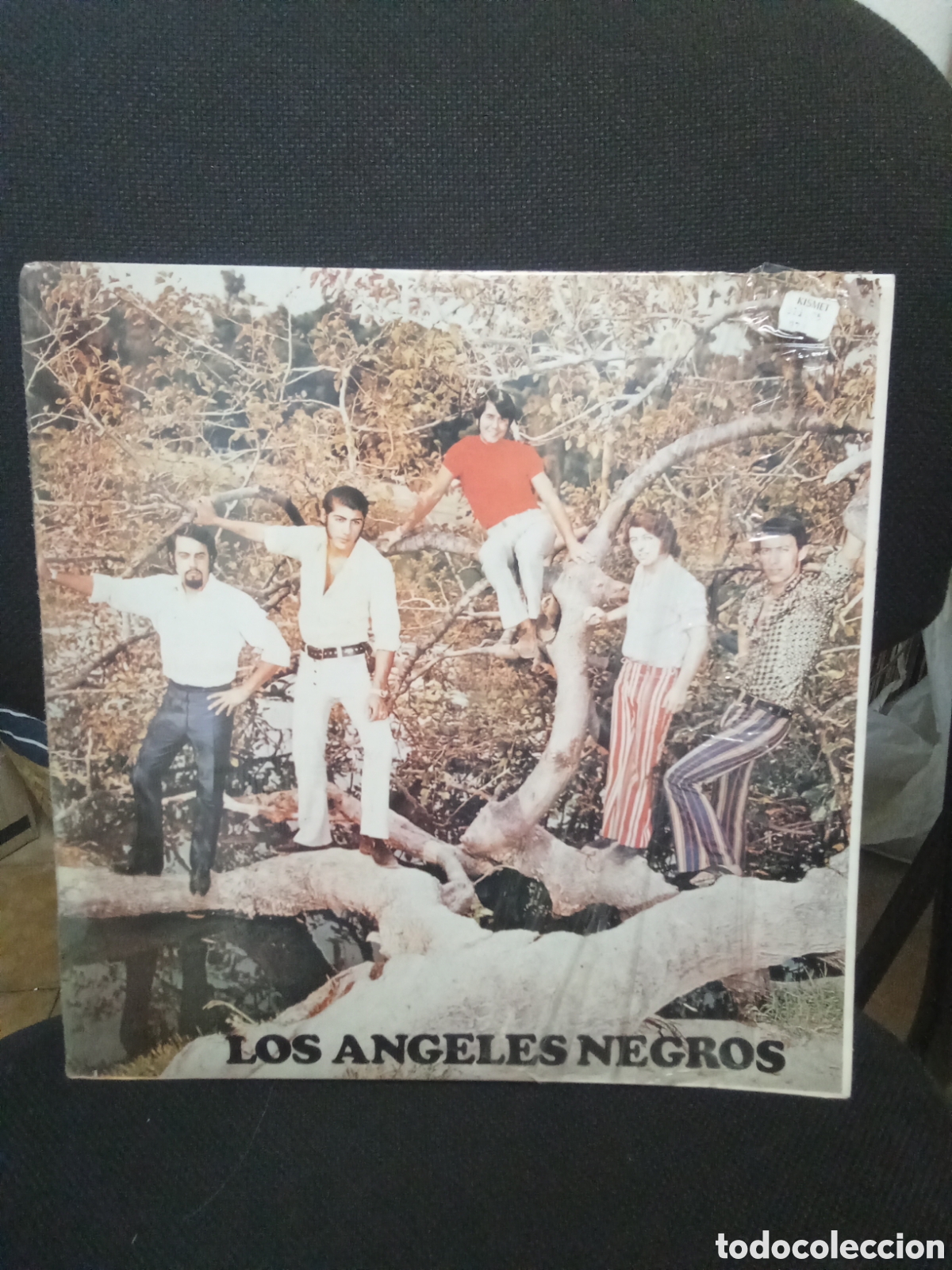Discos de vinilo: Los &Aacute;ngeles negros - Foto 1