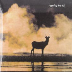 Discos de vinilo: TIGER BY THE TAIL * LP VINILO 2006 BANG RECORDS SPAIN 500 COPIAS NUMERADAS GATEFOLD PRECINTADO!