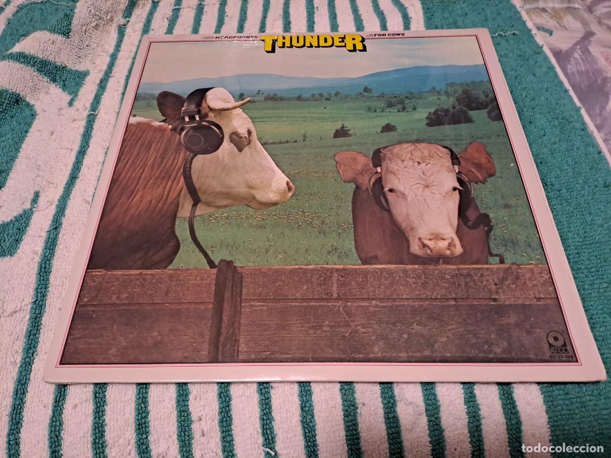 Discos de vinilo: LP THUNDER - Foto 5